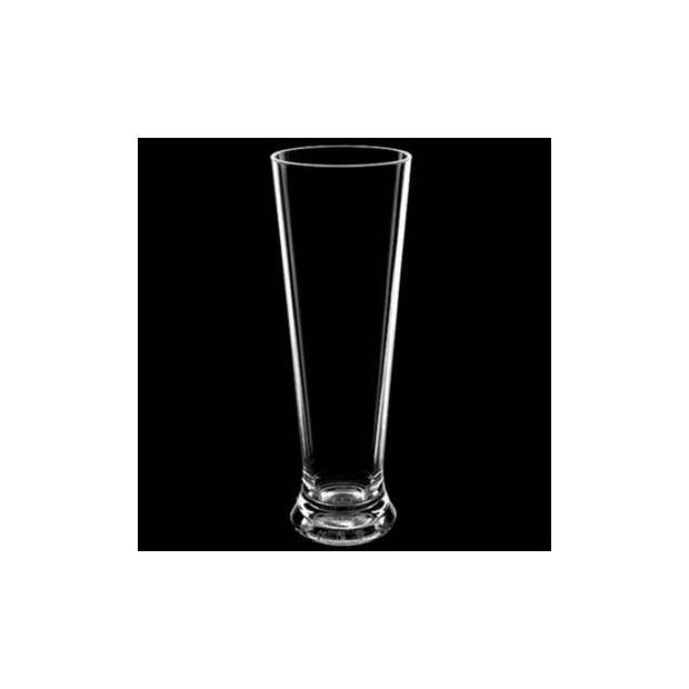 Onbreekbaar bierglas op voet transparant kunststof 30 cl/300 ml - Bierglazen