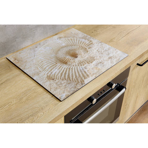 Inductiebeschermer - Ammonites Fossil - 65x55 cm