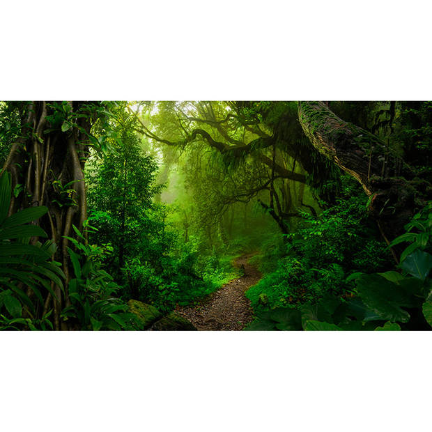 Spatscherm A walk in the jungle - 80x40 cm