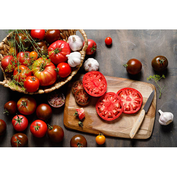 Spatscherm Tomaten - 120x80 cm