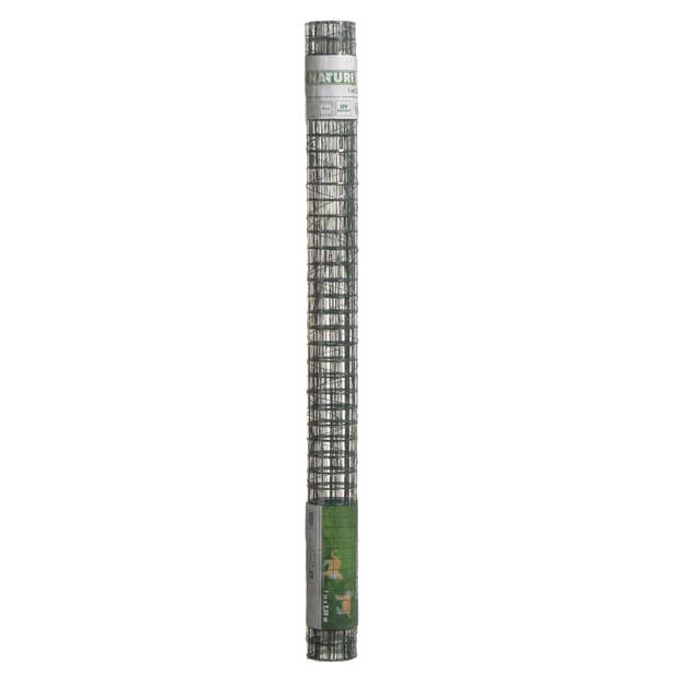 Schermgaas - groen - geplastificeerd staal - 100 x 250 cm - vierkant maaswijdte 25 x 25 mm - Gaas
