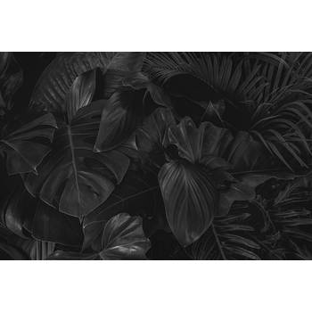Inductiebeschermer - Zwarte Bladeren - 70x52 cm