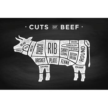 Spatscherm Cuts of Beef - 100x50 cm