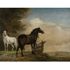 Inductiebeschermer - Schilderij Twee Paarden - 59x52 cm