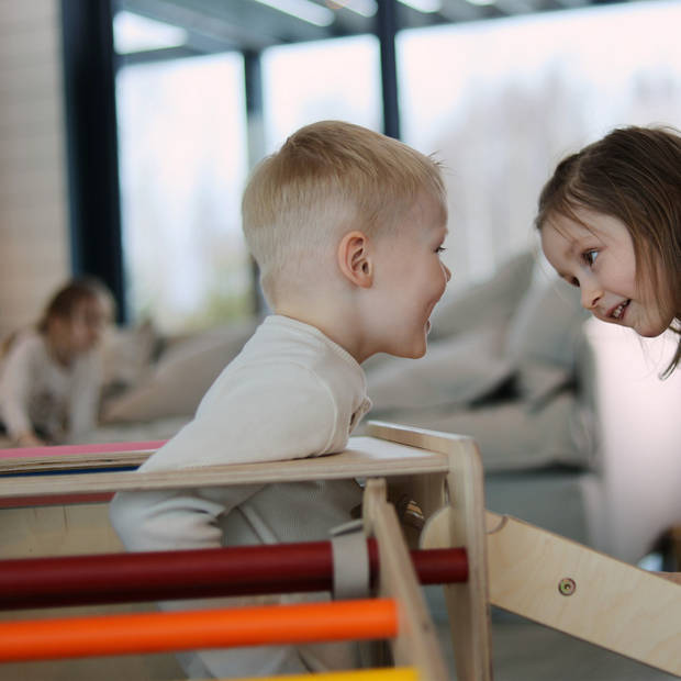 KateHaa Activiteiten Kubus met ladder van hout in regenboogkleuren Indoor Klimrek voor kinderen