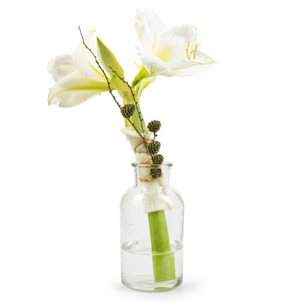 Melkbusvaas bloemenvaas/bloemenvazen 10 x 20 cm transparant glas - Vazen