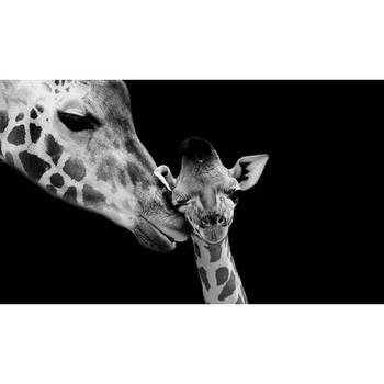 Inductiebeschermer - Twee Giraffen - 77x51 cm