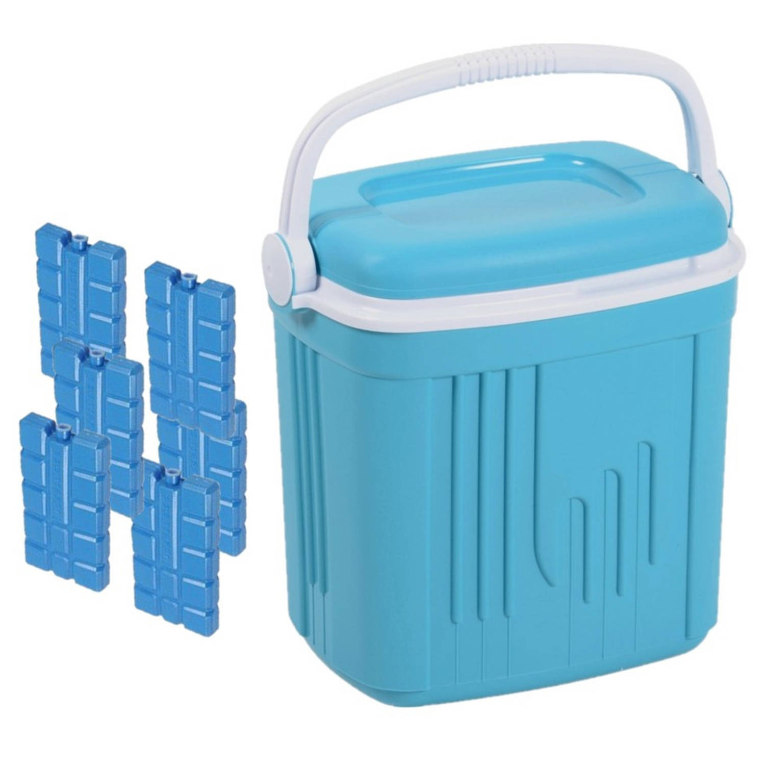 Voordelige normale blauwe koelbox 20 liter met 6x normale koelelementen Koelboxen