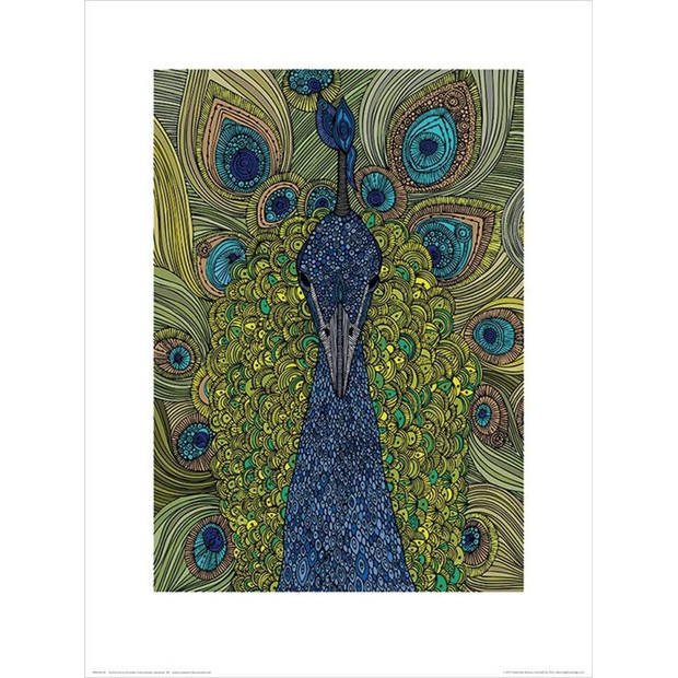 Kunstdruk Valentina Ramos - The Peacock 30x40cm