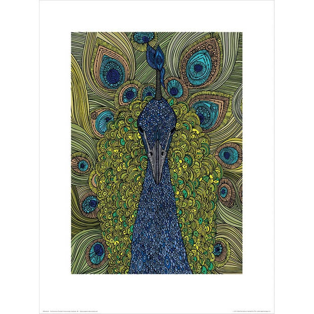 Kunstdruk Valentina Ramos - The Peacock 30x40cm