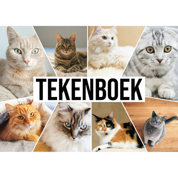 Complete teken/schilder doos 88-delig met een A4 Katten schetsboek - Potlodendozen