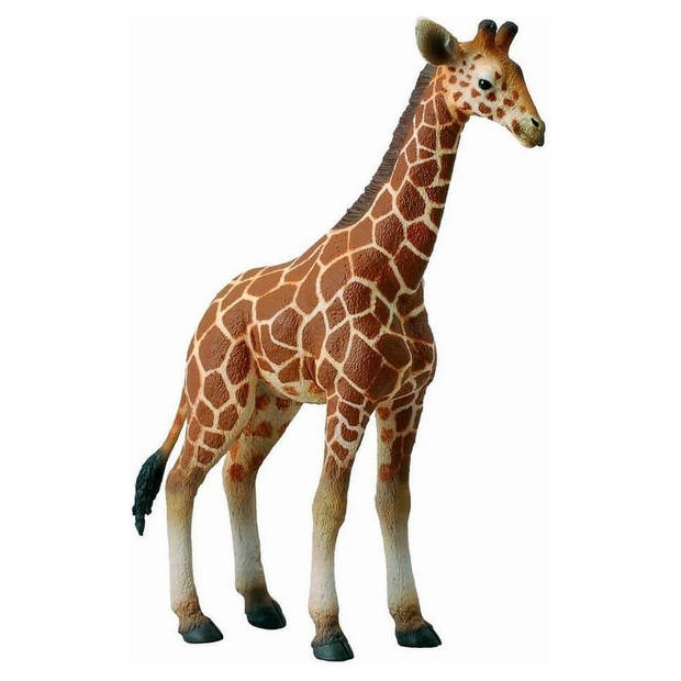 Collecta Wilde dieren Girafkalf 9 x 3 x 12.5 cm