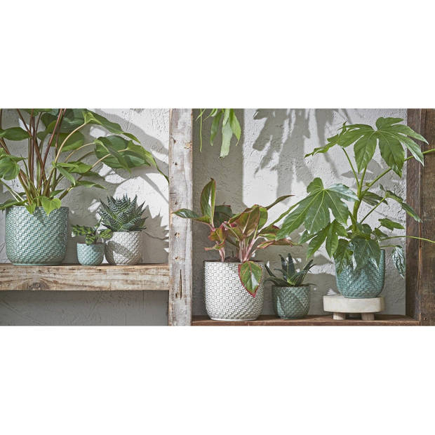 Mica Decorations - Plantenpot-bloempot - Keramiek wit - D11 x H9 cm - Plantenpotten