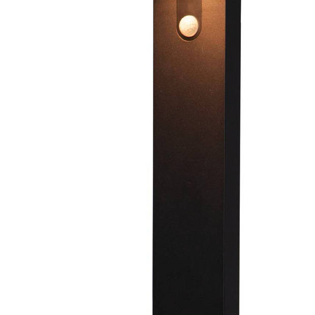 EGLO Baracconi Staande lamp Buiten - LED - 80 cm - Sensor - Zwart