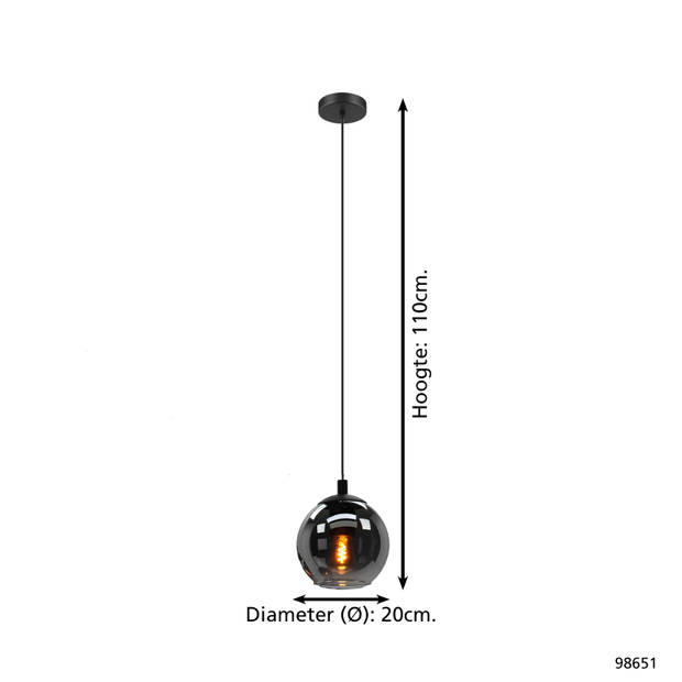 EGLO Ariscani Hanglamp - E27 - Ø 20 cm - rookglas - Zwart