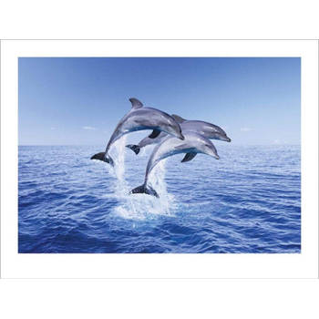 Kunstdruk Dolphin Trio 40x30cm