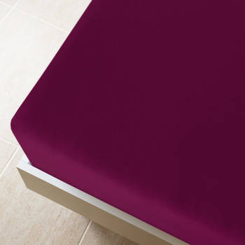 The Living Store Jersey Hoeslaken - Bordeaux - 160 x 200 cm - 100% Katoen