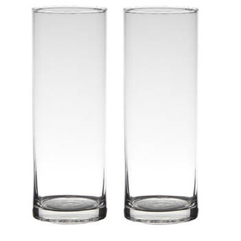 Set van 2x stuks transparante home-basics cylinder vorm vaas/vazen van glas 24 x 9 cm - Vazen