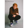 Poster Ed Sheeran Crouch 61x91,5cm