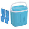 Voordelige normale blauwe koelbox 20 liter met 6x normale koelelementen - Koelboxen