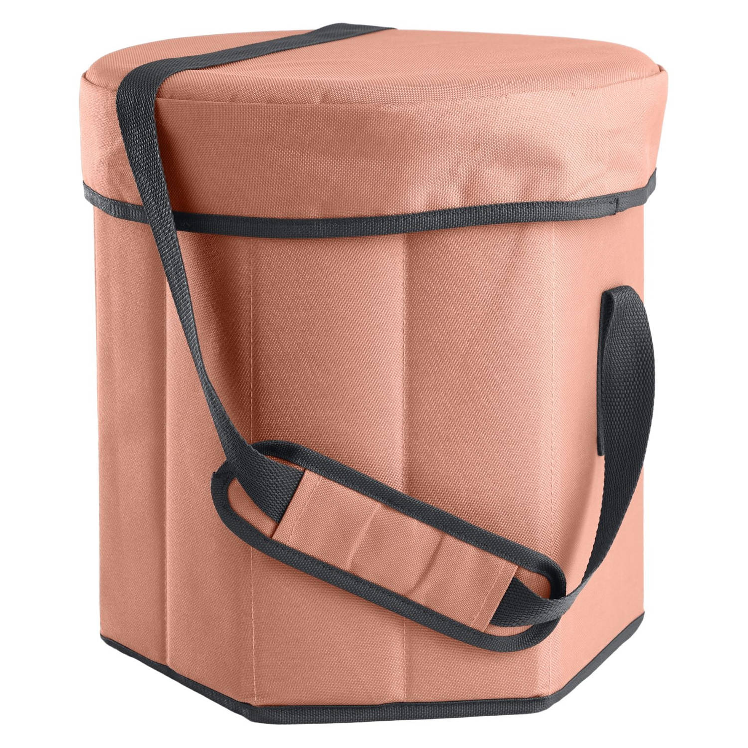 DAY Outfit Koelbox met zitje 20 Liter - Misty Coral