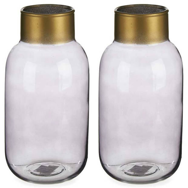 Bloemenvazen 2x stuks - luxe decoratie glas - grijs/goud - 14 x 30 cm - Vazen