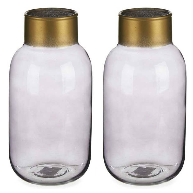 Bloemenvazen 2x stuks - luxe decoratie glas - grijs/goud - 12 x 24 cm - Vazen