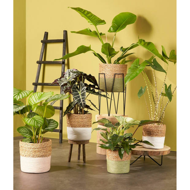 Mica Decorations bloempot plantenstandaard/verhoger - zwart - D18 x H25 cm - Plantenstandaarden