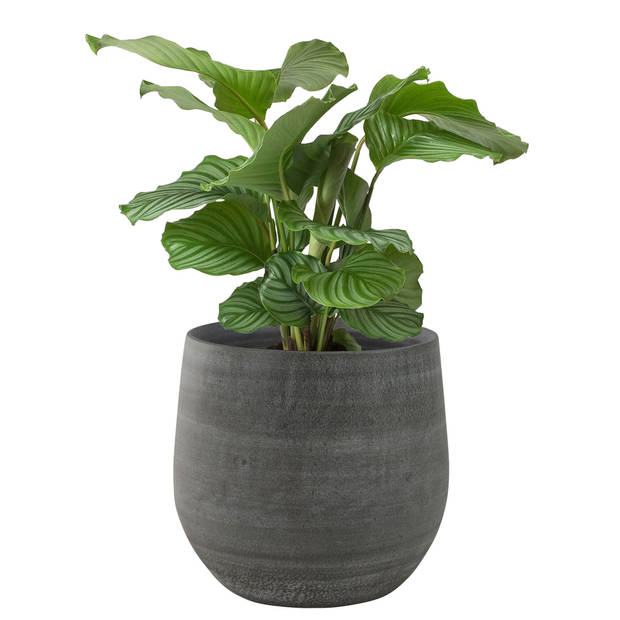 Steege Plantenpot - keramiek - modern - grijs - 36 x 32 cm - Plantenpotten