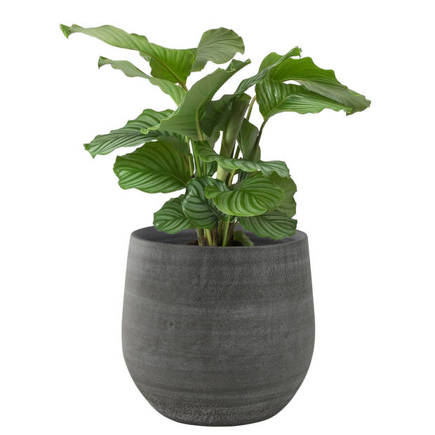 2x stuks plantenpotten/bloempotten in een strakke Modern design look mystic grijs Dia 36 cm en Hoogt - Plantenpotten