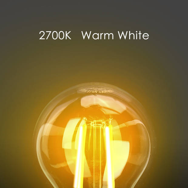 Aigostar 10ZBS - LED lichtbron - Filament Lamp - G45 - E14 - 470lm - 2700K - Warm Wit - 4 Watt - 6 Stuks
