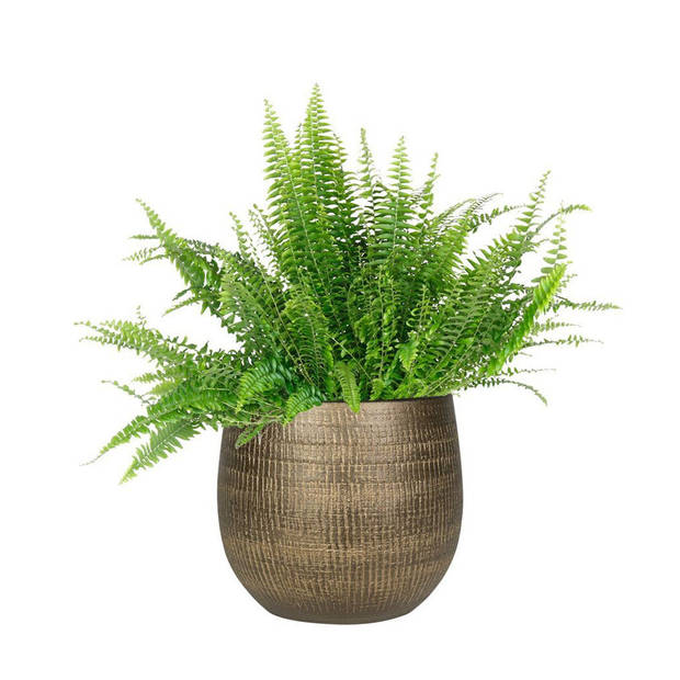 BD Plantenpot/bloempot - binnen - keramiek - goud - D26 cm x H25 cm - Plantenpotten