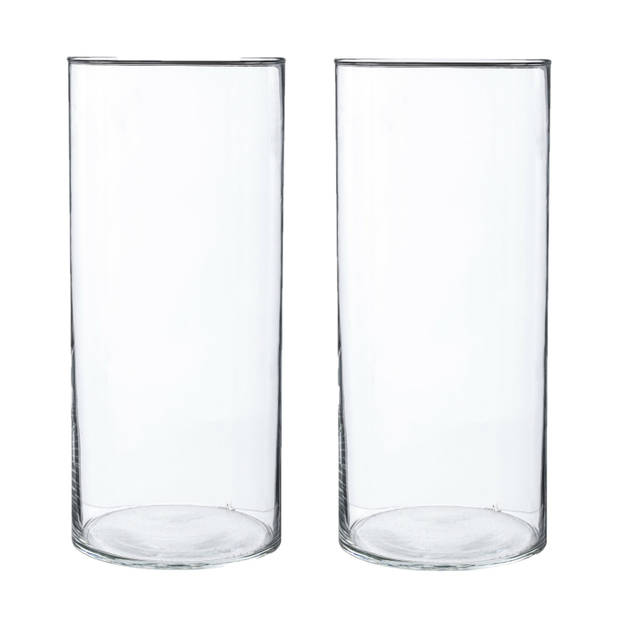 2x Bloemenvaas cilinder vorm van transparant glas 30 x 13 cm - Vazen