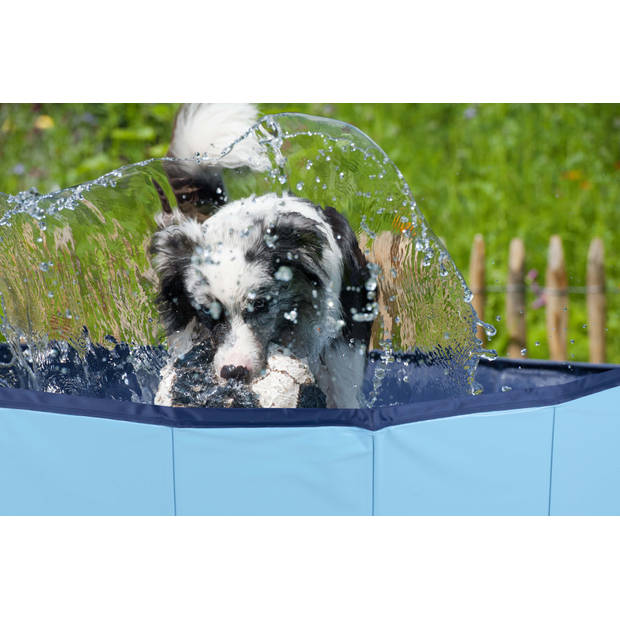 maxxpro Hondenzwembad - 160 x 30 CM - Grote Hondenrassen - Opvouwbaar - Anti-Slip Bodem - Blauw