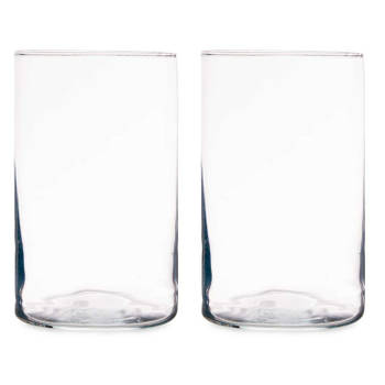 Bloemenvazen 2x stuks - cilinder vorm - transparant glas - 12 x 20 cm - Vazen