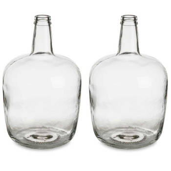 Bloemenvazen 2x stuks - flessen model - glas - transparant - 22 x 39 cm - Vazen