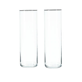 2x Bloemenvaas cilinder vorm van transparant glas 40 x 15 cm - Vazen