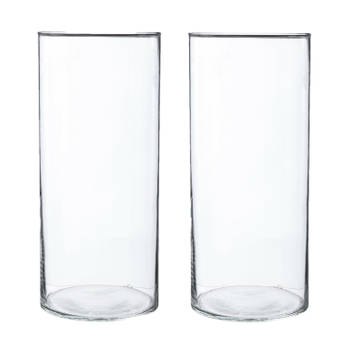 2x Bloemenvaas cilinder vorm van transparant glas 30 x 13 cm - Vazen