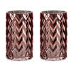 Bloemenvazen 2x stuks - luxe decoratie glas - roze - 11 x 20 cm - Vazen