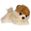 Pluche creme/lichtbruine Pomeranian puppy honden knuffel 25 cm - Knuffel huisdieren