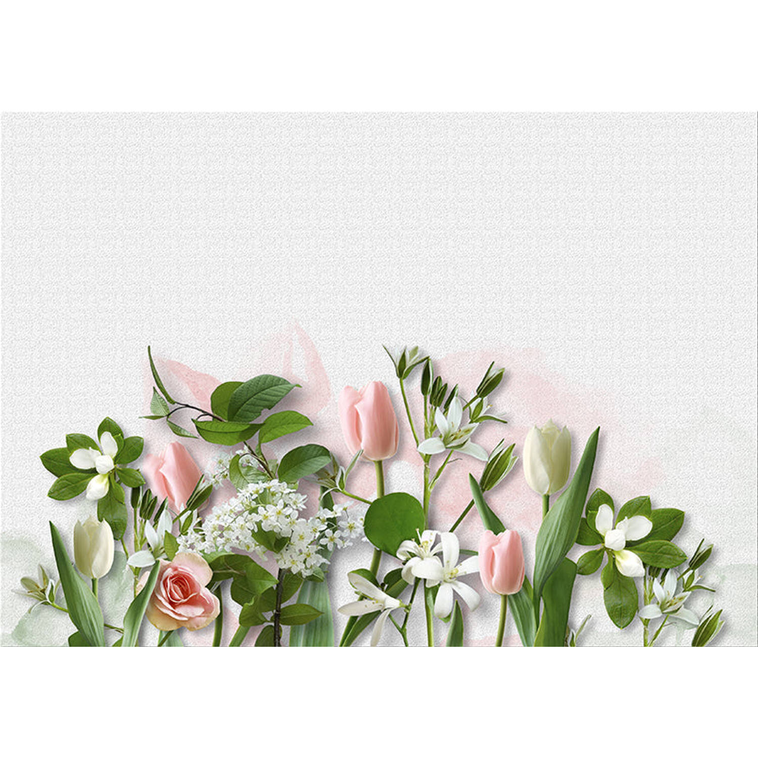 Inductiebeschermer - Wit met Roze Tulpen - 78x52 cm