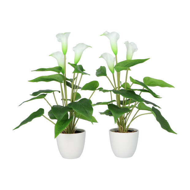 Kopu® 2 stuks Calla Kunstplant 44 cm - Zantedeschia Bekerplant Wit