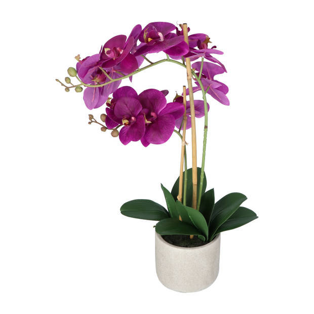 Kopu® Kunstbloem Orchidee 60 Cm Lila Cement Sierpot Phalenopsis