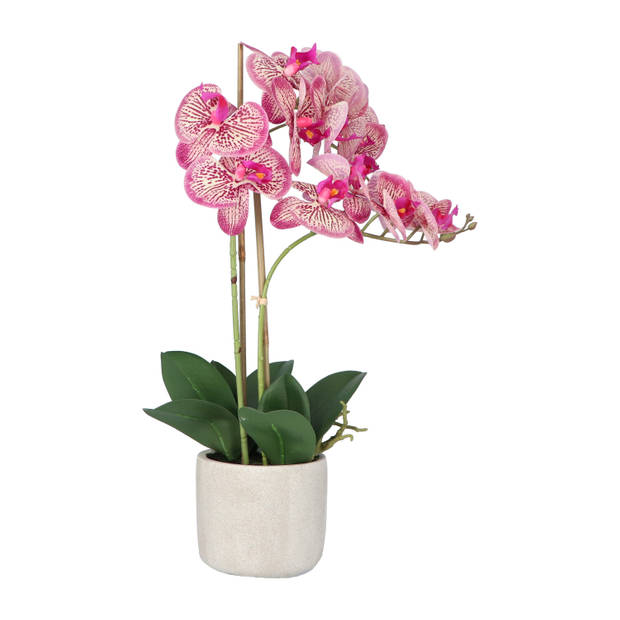 Kopu® Kunstbloem Orchidee 60 cm Roze - cement Sierpot - Phalenopsis