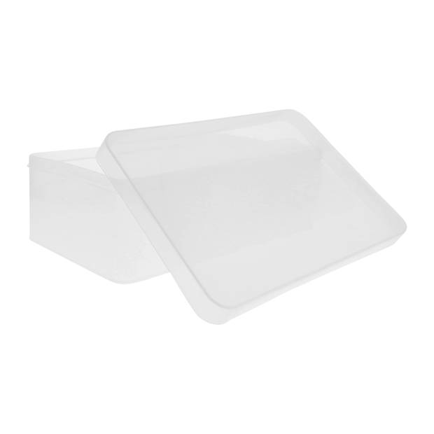 QUVIO Opbergdoos - 30 x 21 x 11 cm - Plastic - Transparant