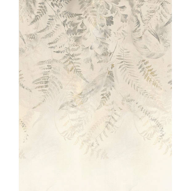 Fotobehang - Herbarium 200x250cm - Vliesbehang