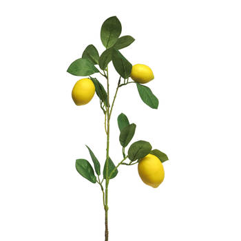 Lemon sinensis spray x3 yellow 74cm