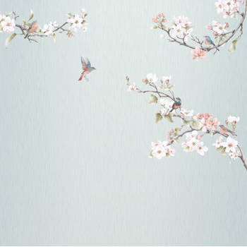 Fotobehang - Apple Bloom 250x250cm - Vliesbehang