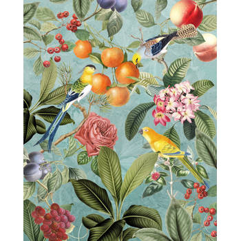 Fotobehang - Birds and Berries 200x250cm - Vliesbehang