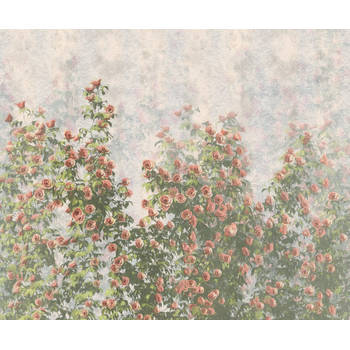 Fotobehang - Wall Roses 300x250cm - Vliesbehang
